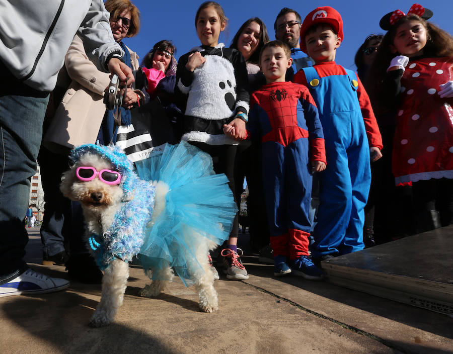 I Concurso de Mascotas Antroxaes