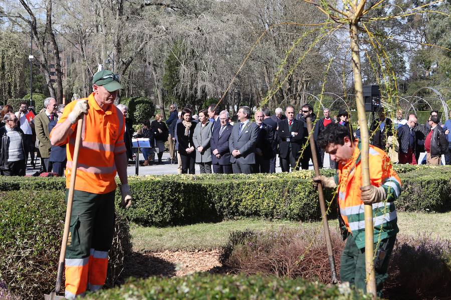 El parque de Isabel la Católica recupera el sauce de Jovellanos