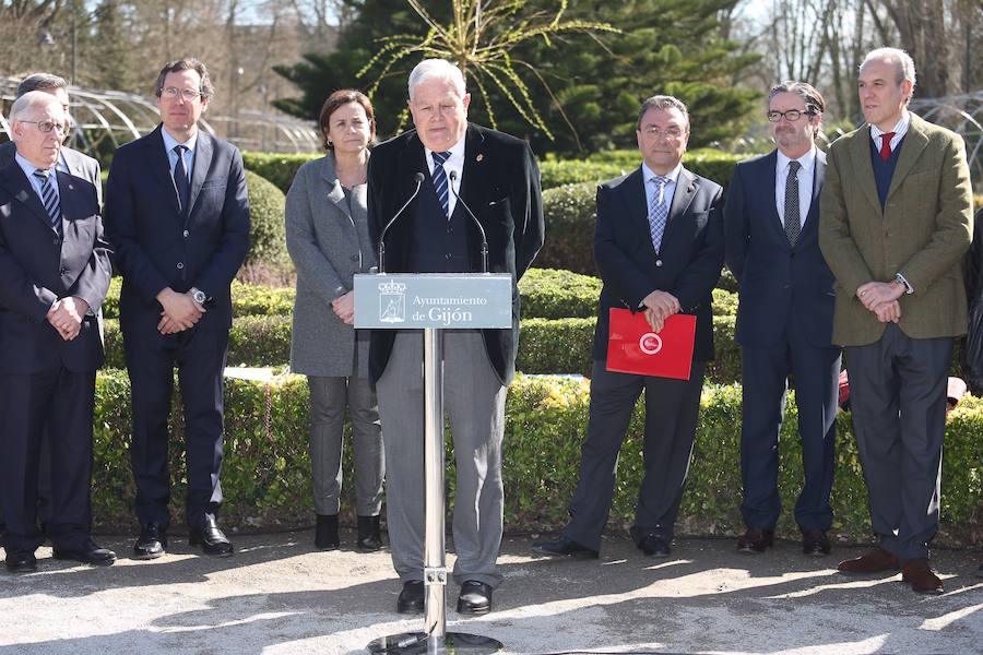 El parque de Isabel la Católica recupera el sauce de Jovellanos