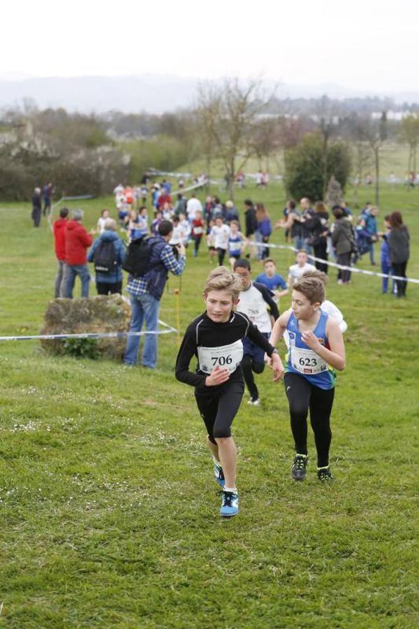 Campeonato de Asturias de cross escolar en La Morgal (II)