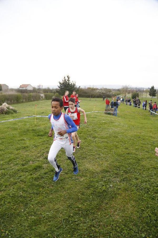 Campeonato de Asturias de cross escolar en La Morgal (II)