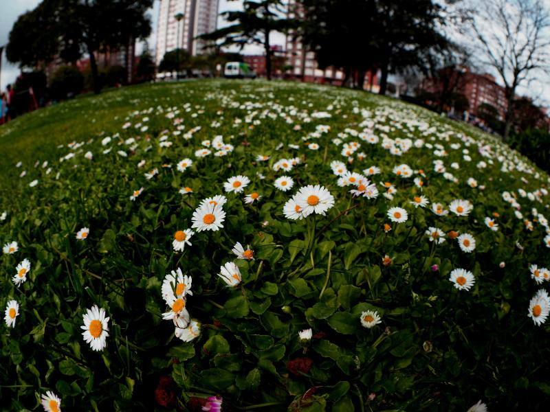 Las imágenes más impactantes de la primavera en Asturias