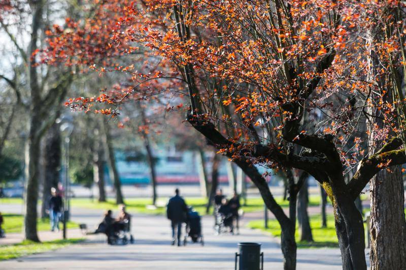 Las imágenes más impactantes de la primavera en Asturias