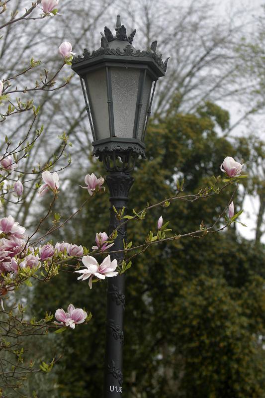 Las imágenes más impactantes de la primavera en Asturias