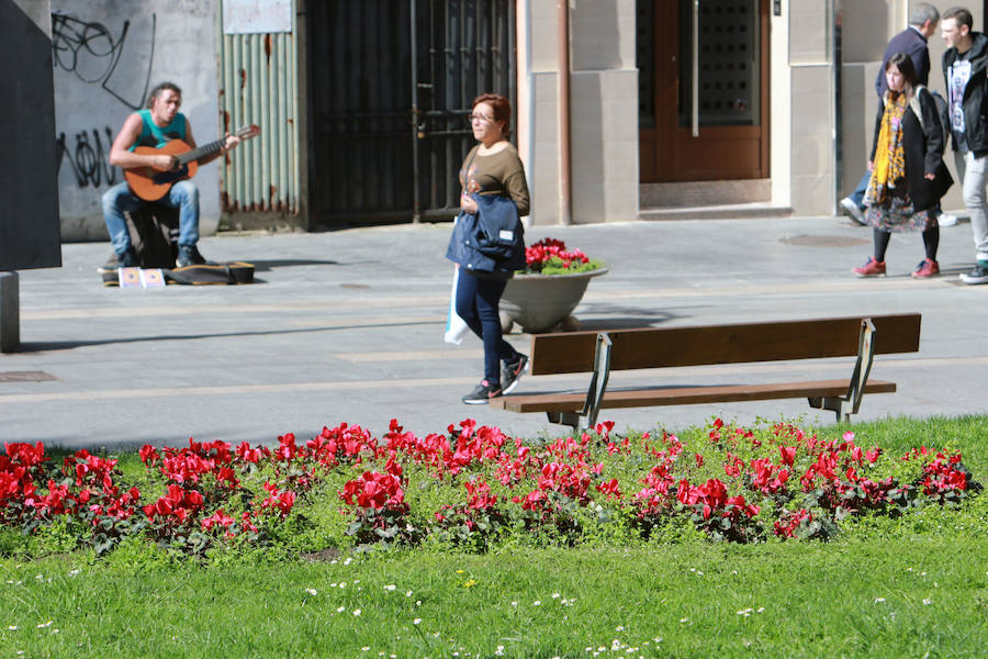 Las imágenes más impactantes de la primavera en Asturias