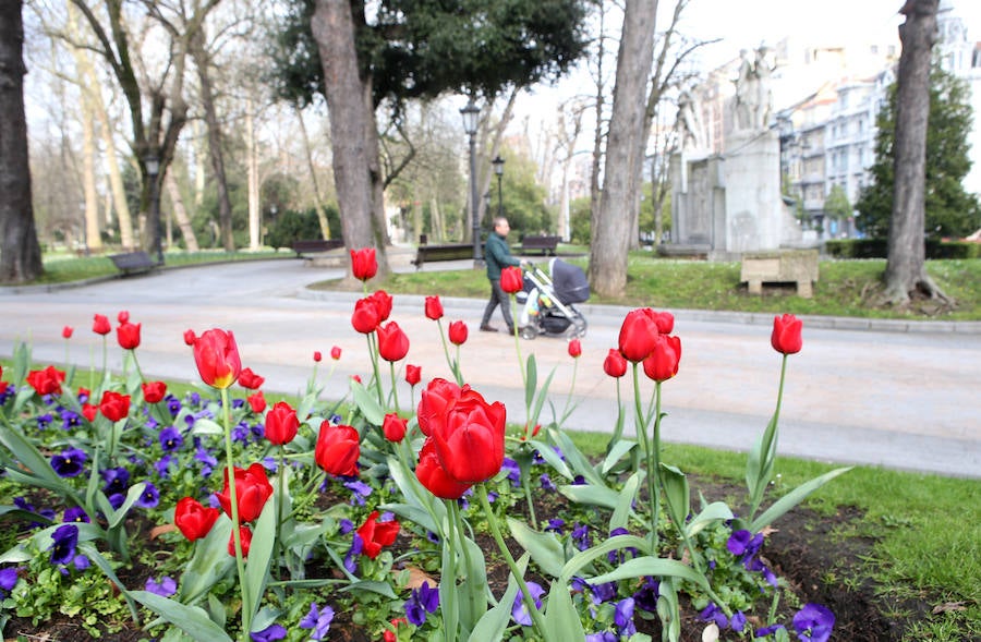 Las imágenes más impactantes de la primavera en Asturias