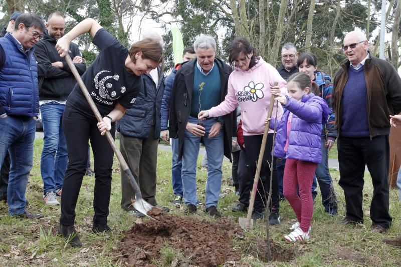 600 árboles para la Viesca