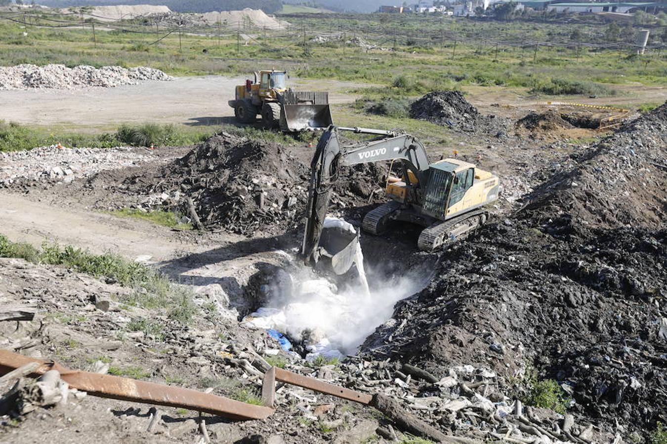 Destrucción de la patata afectada por la polilla guatemalteca