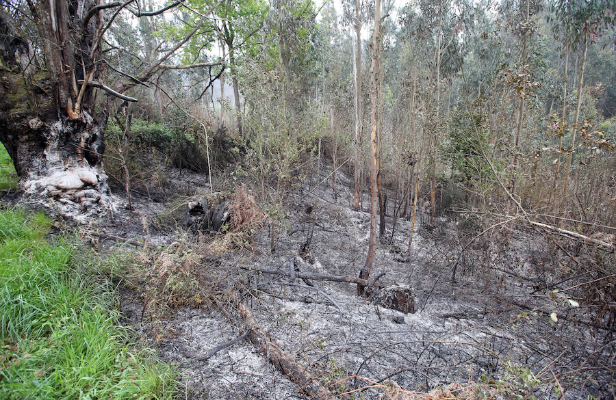 Un incendio quema 15 hectáreas en el Naranco, en Oviedo