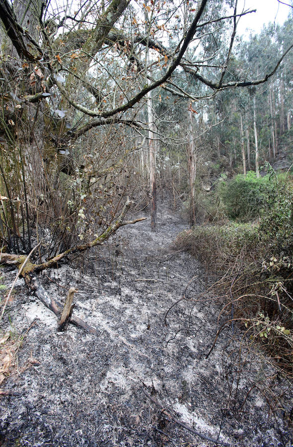 Un incendio quema 15 hectáreas en el Naranco, en Oviedo