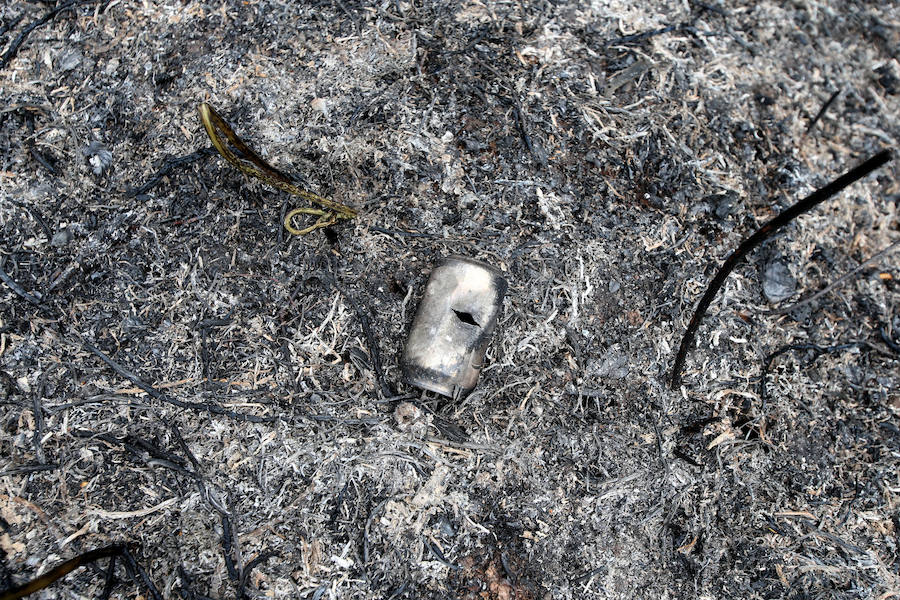 Un incendio quema 15 hectáreas en el Naranco, en Oviedo