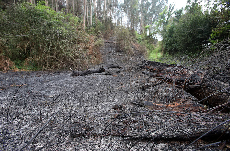 Un incendio quema 15 hectáreas en el Naranco, en Oviedo