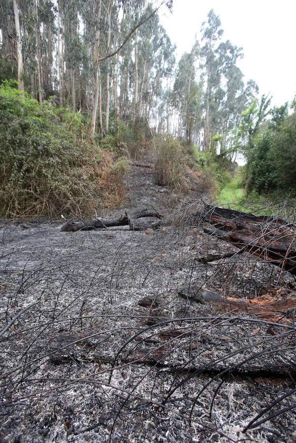 Un incendio quema 15 hectáreas en el Naranco, en Oviedo