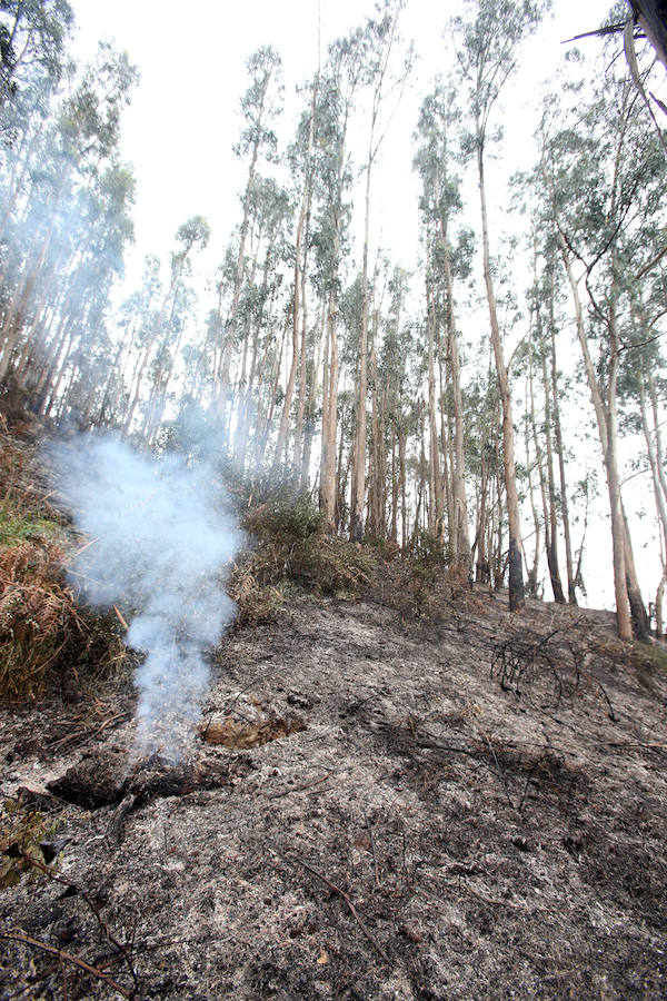 Un incendio quema 15 hectáreas en el Naranco, en Oviedo