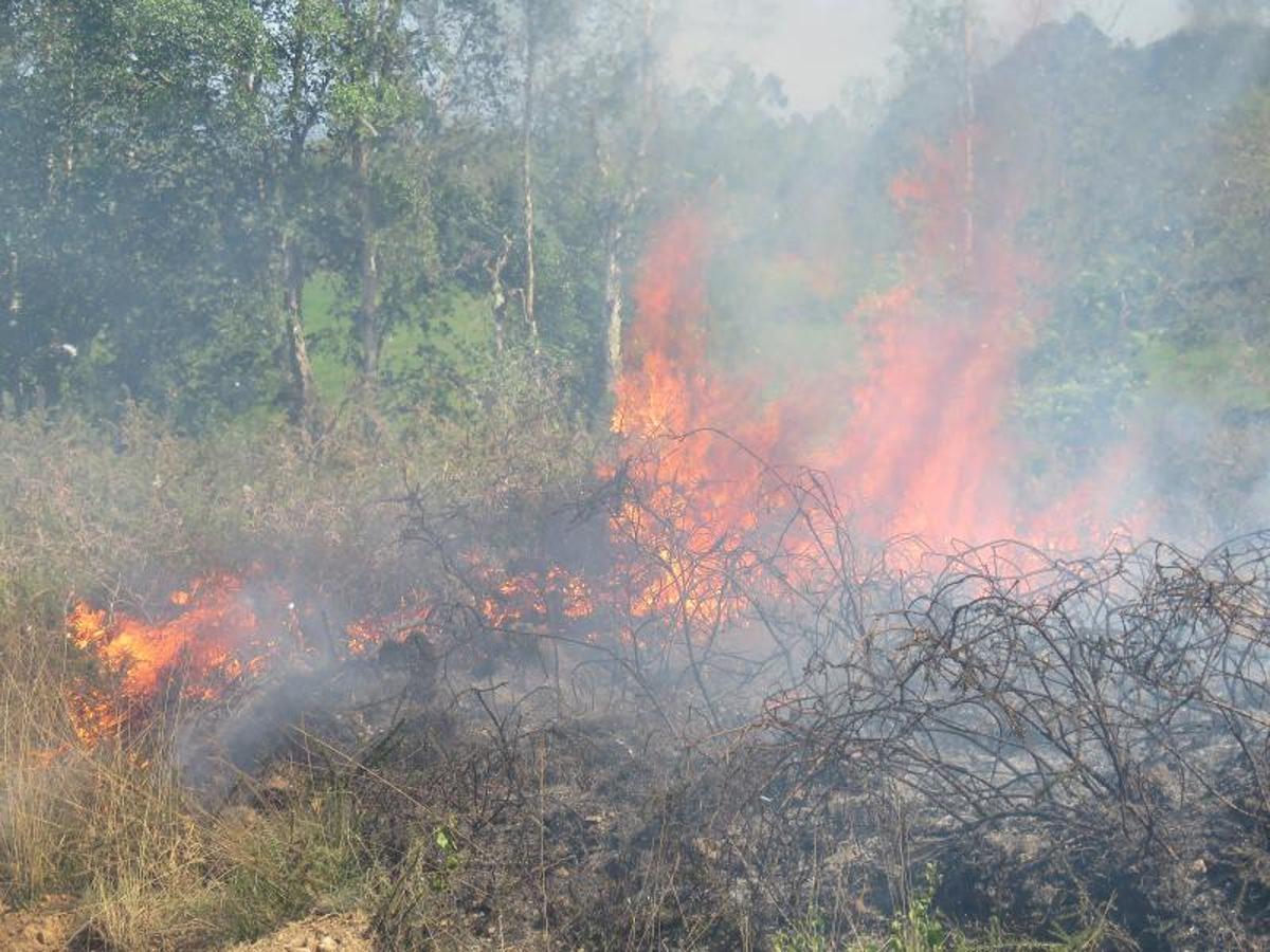 Fuego en el oriente asturiano.