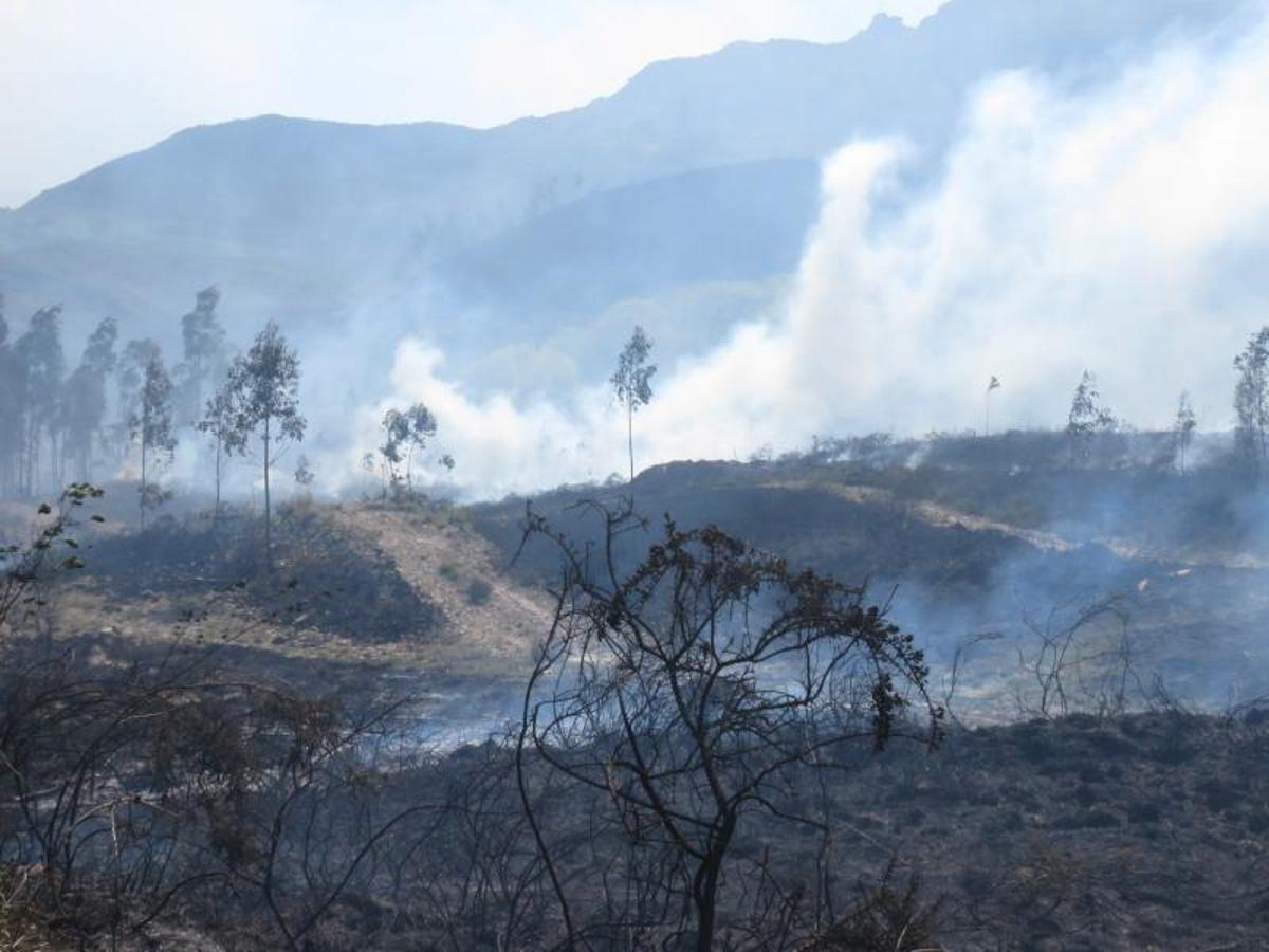 Fuego en el oriente asturiano.