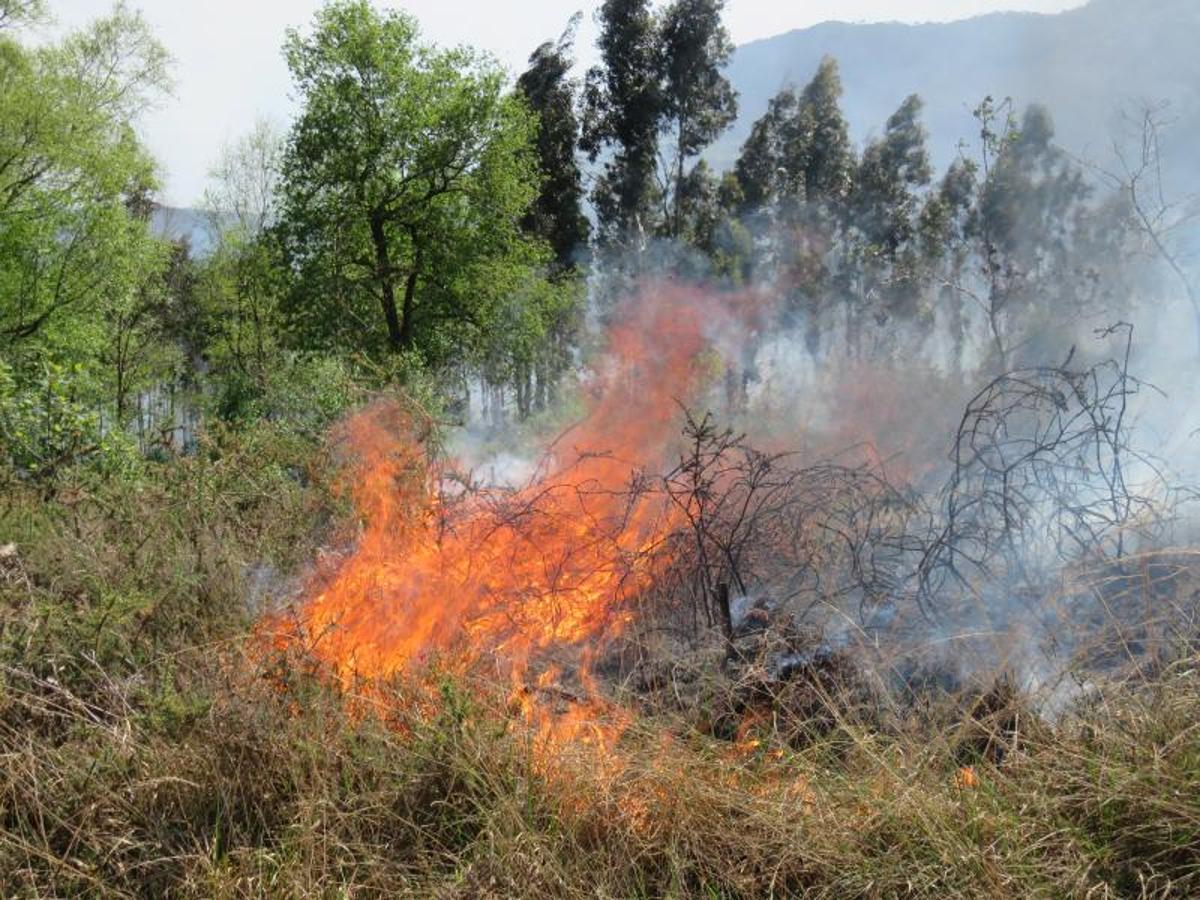 Fuego en el oriente asturiano.