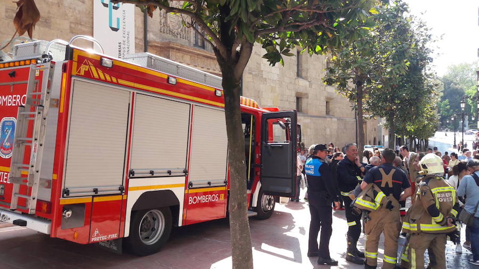 Jornada de puertas abiertas en el Botánico de Gijón