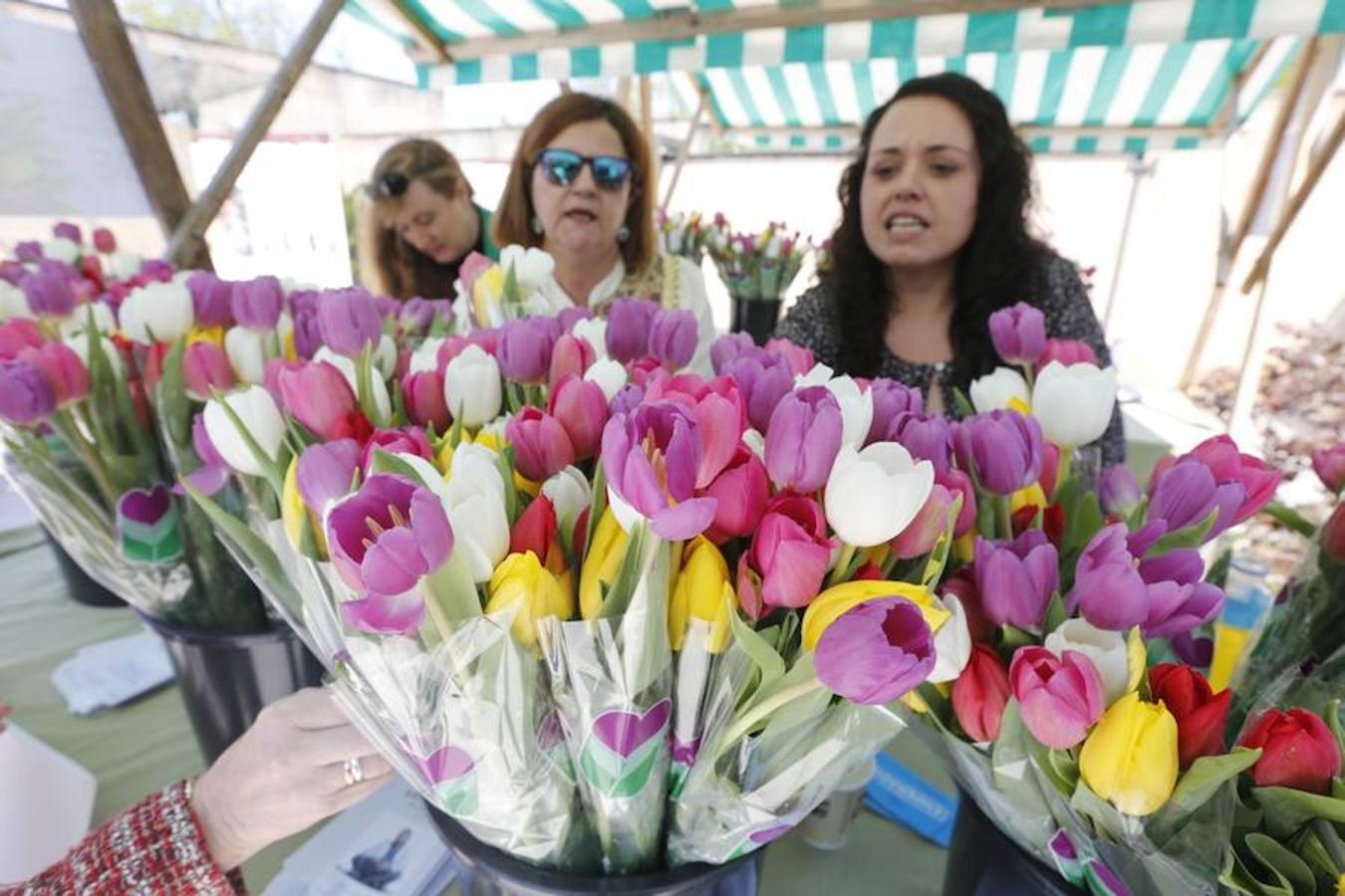 Jornada de puertas abiertas en el Botánico de Gijón