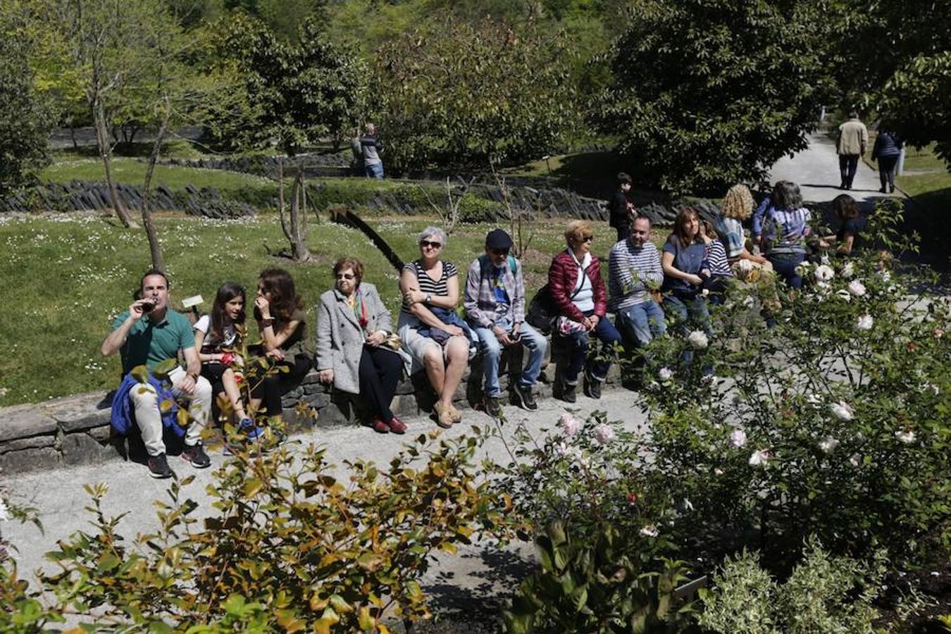 Jornada de puertas abiertas en el Botánico de Gijón