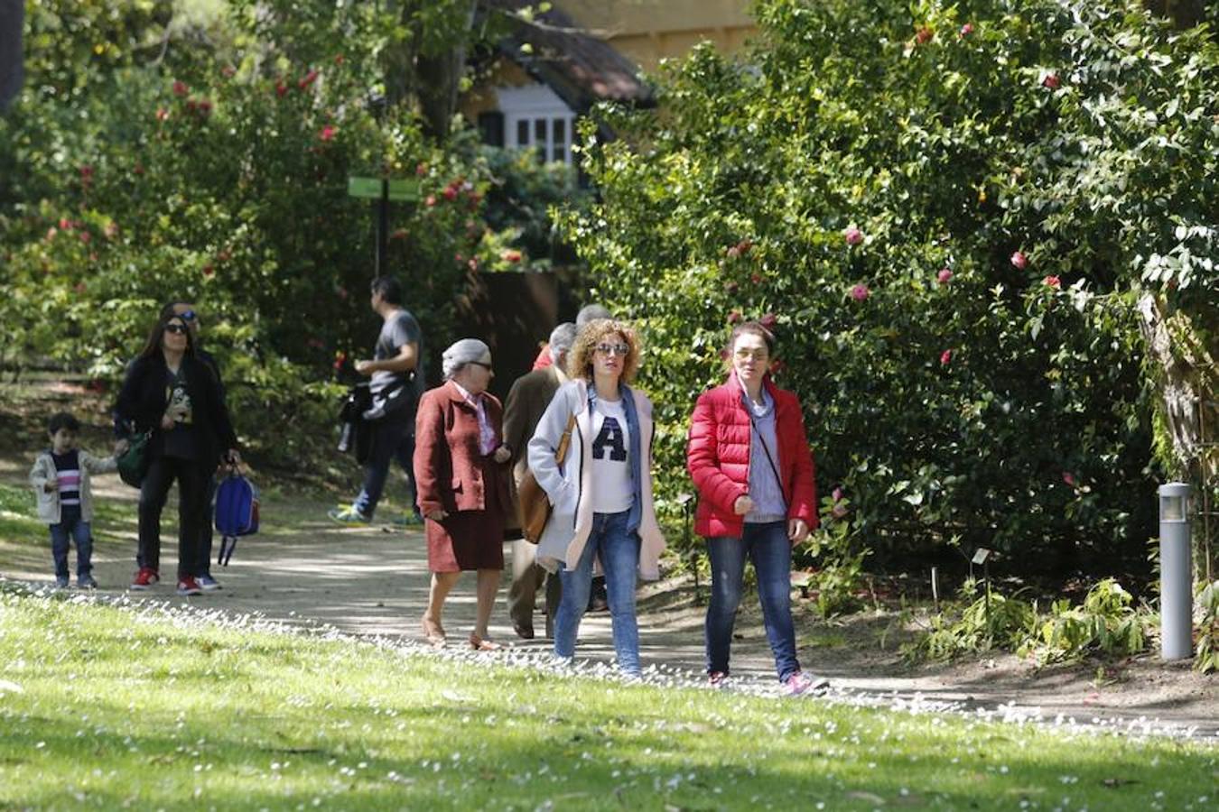 Jornada de puertas abiertas en el Botánico de Gijón