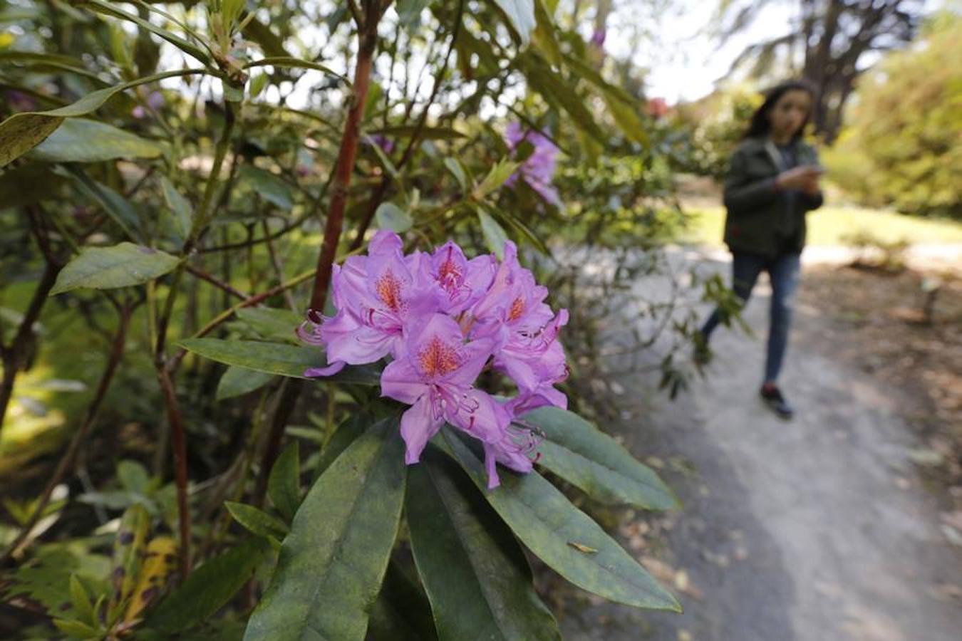 Jornada de puertas abiertas en el Botánico de Gijón