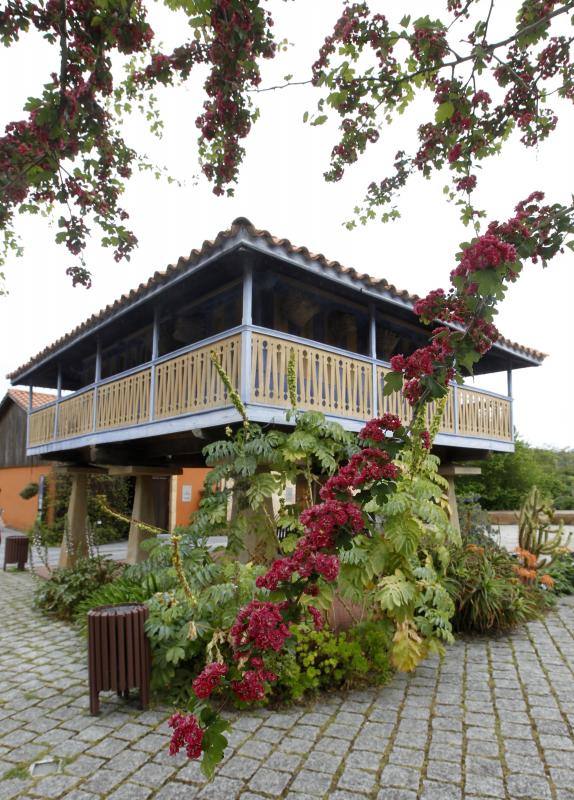 El Jardín Botánico, en todo su esplendor
