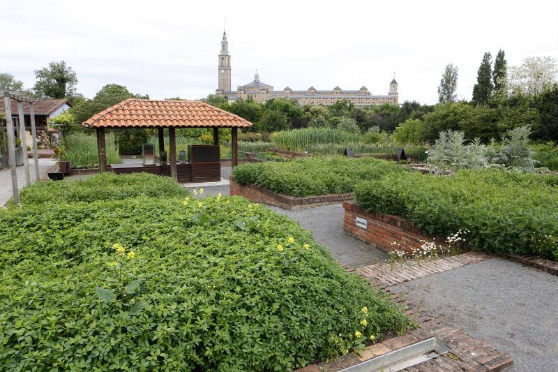El Jardín Botánico, en todo su esplendor