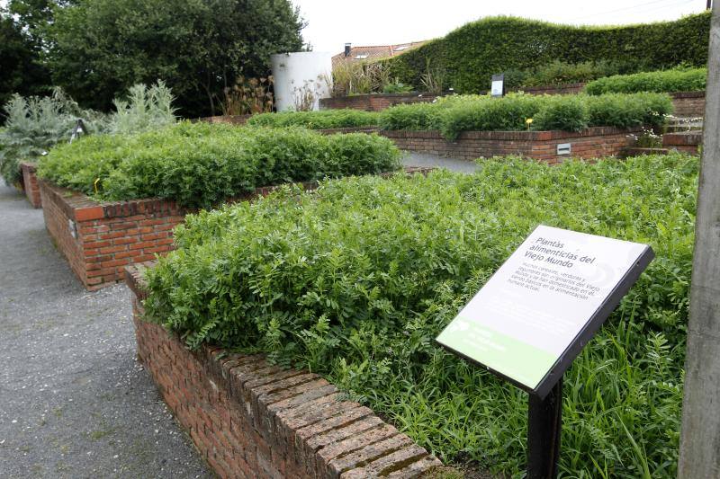 El Jardín Botánico, en todo su esplendor