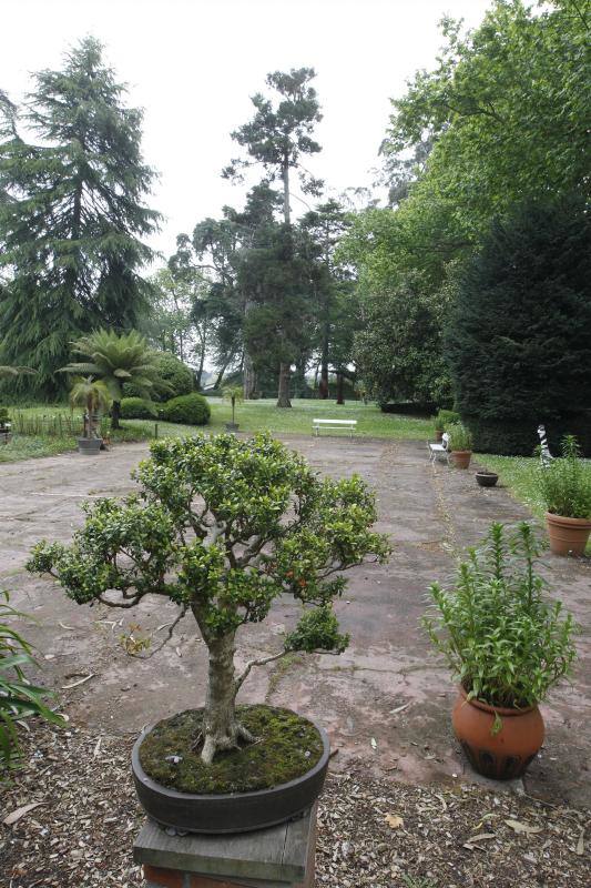 El Jardín Botánico, en todo su esplendor
