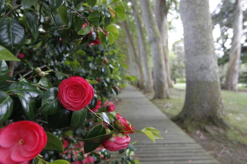 El Jardín Botánico, en todo su esplendor