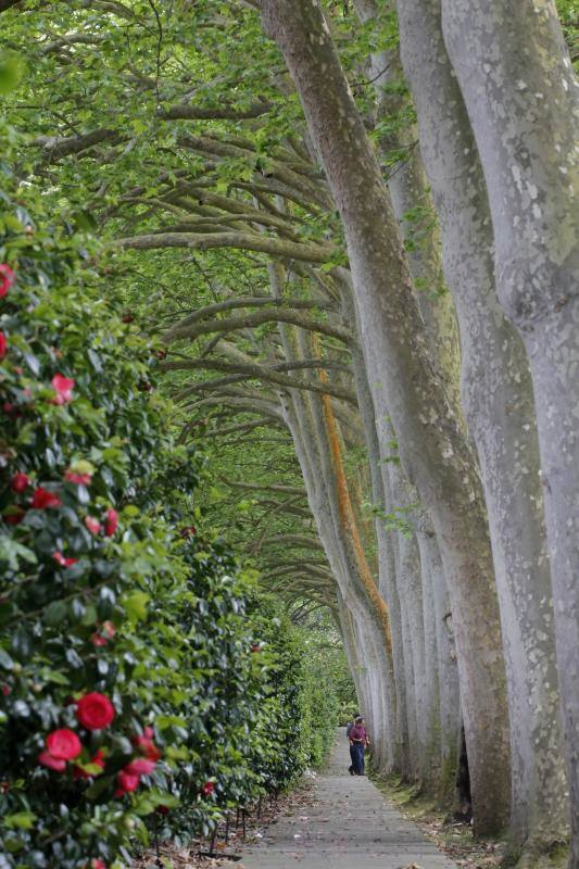 El Jardín Botánico, en todo su esplendor