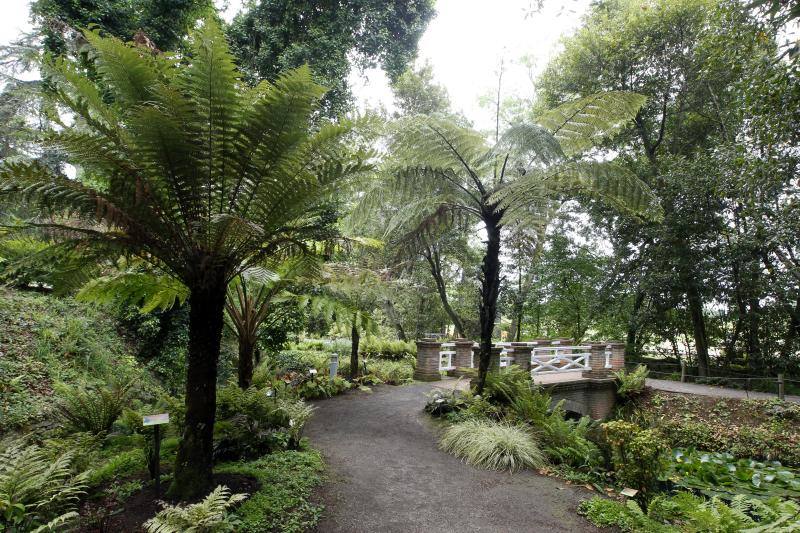 El Jardín Botánico, en todo su esplendor