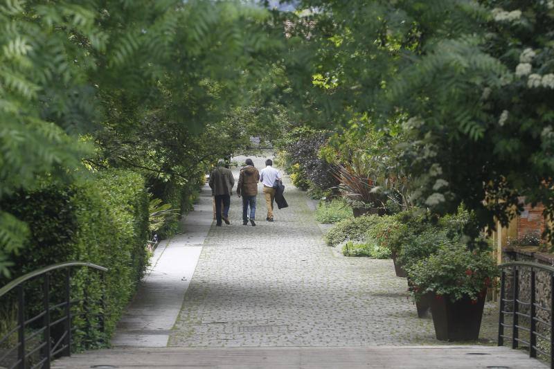El Jardín Botánico, en todo su esplendor