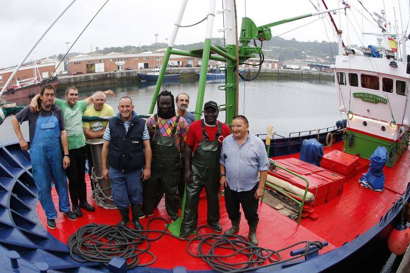 Llega el bonito a la rula de Gijón