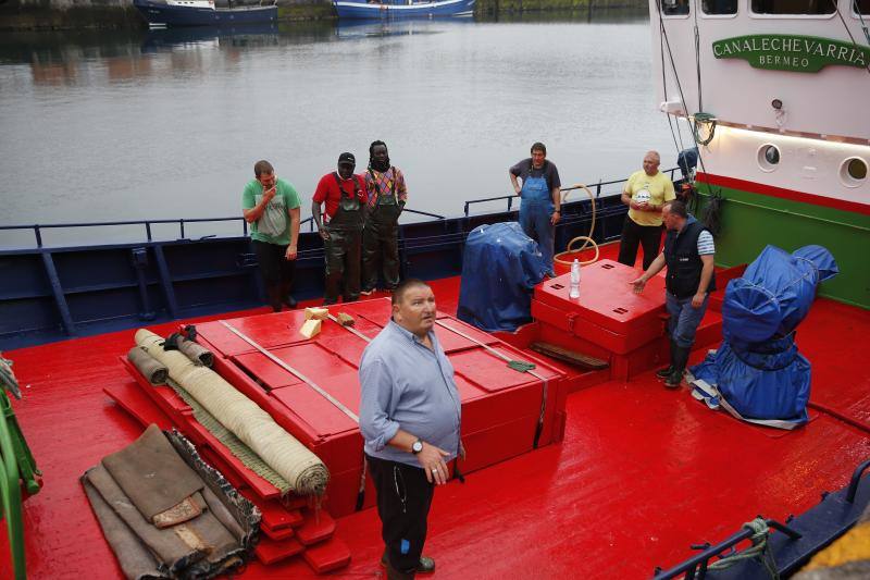 Llega el bonito a la rula de Gijón