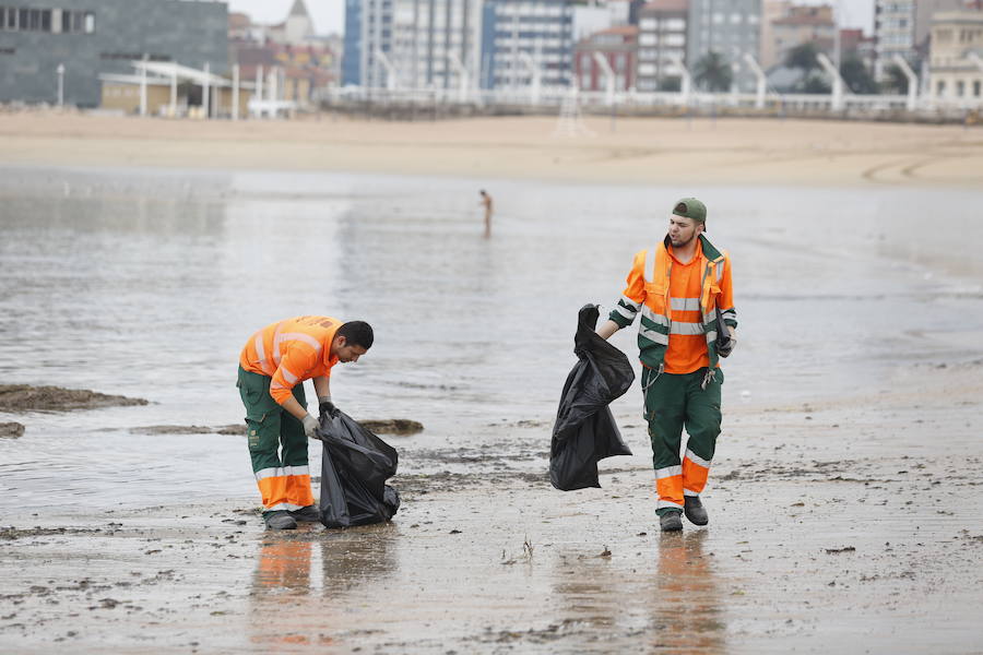 Limpieza en Poniente tras la fiesta de San Xuan