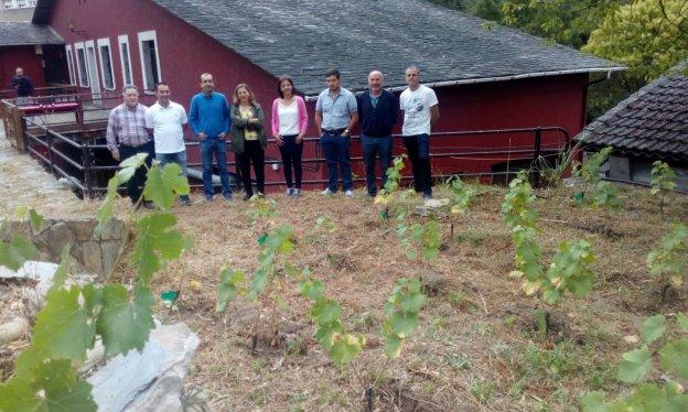 El alcalde, la directiva y técnicos de la Denominación de Origen Protegido Vino de Cangas, ante las cepas seleccionadas. 