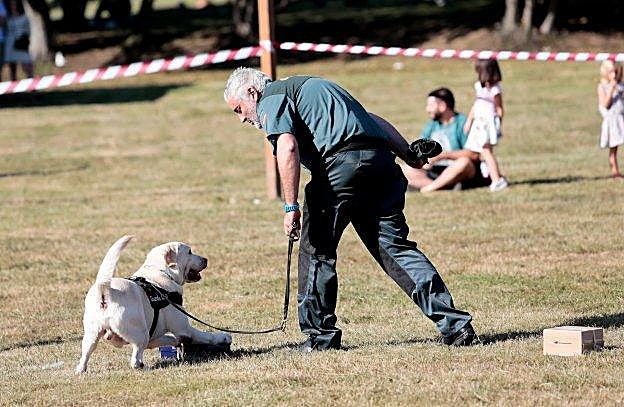 Demostración de la unidad cinológica de la Guardia Civil con un perro especializado en la detección de explosivos. 