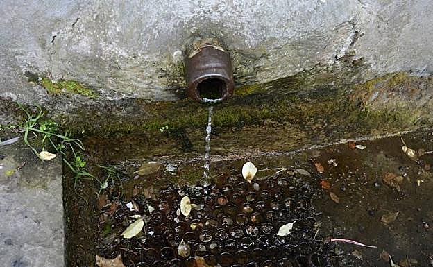 El agua gotea en la fuente del Cascarín. 