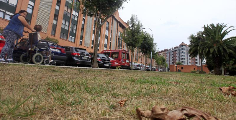 La reducción del riego por el bajo nivel de Los Alfilorios tiñe de amarillo zonas verdes y parques