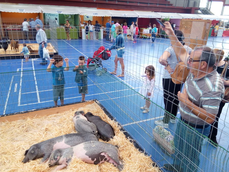 Feria Eco en Vegadeo