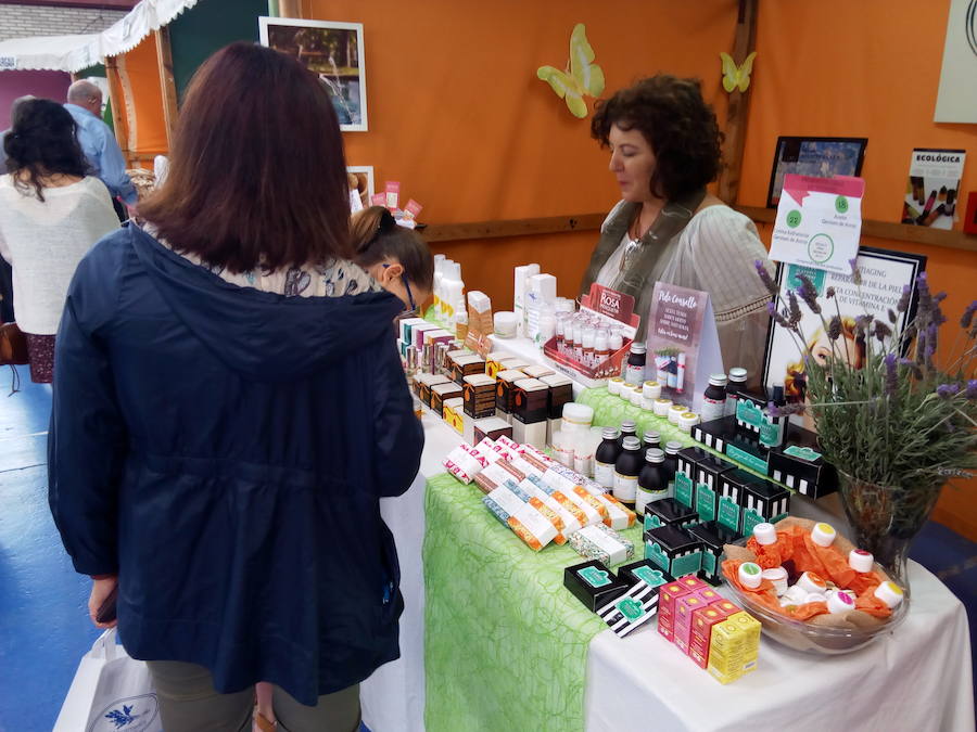 Feria Eco en Vegadeo