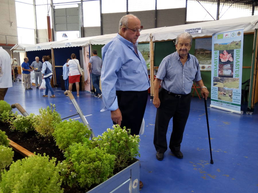 Feria Eco en Vegadeo