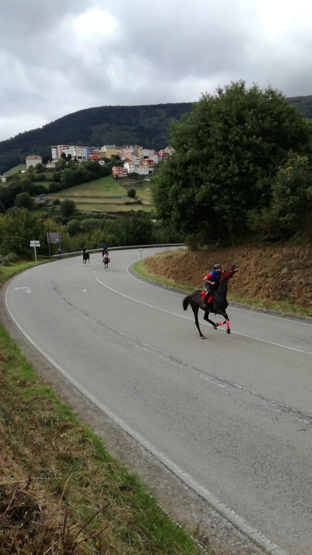 Un momento de la carrera de caballos sobre asfalto en Tineo. 