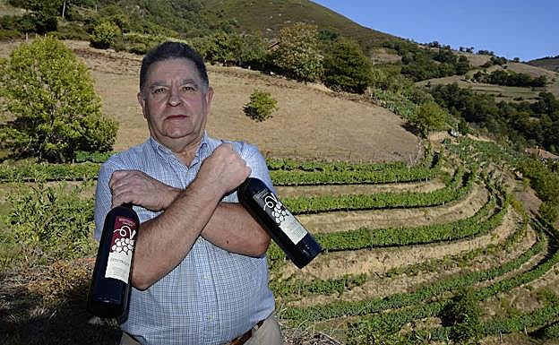 Antonio Álvarez, ‘Antón Chicote’, sostiene en la finca La Galiana, de Limes, dos botellas de los tintos de Cangas que elabora. 