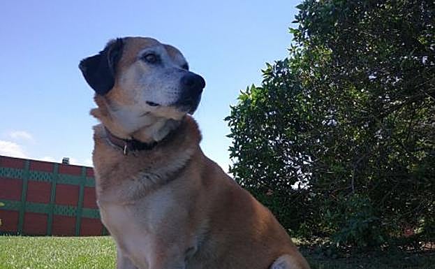 La rocambolesca fuga de 'Dío'