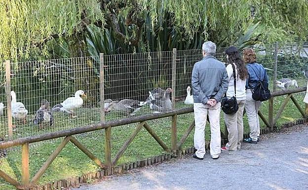 Los ecologistas rechazan que Isabel la Católica pueda albergar ferias y mercadillos