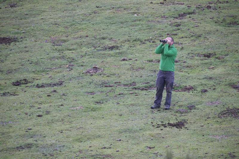 La berrea regresa a los montes asturianos