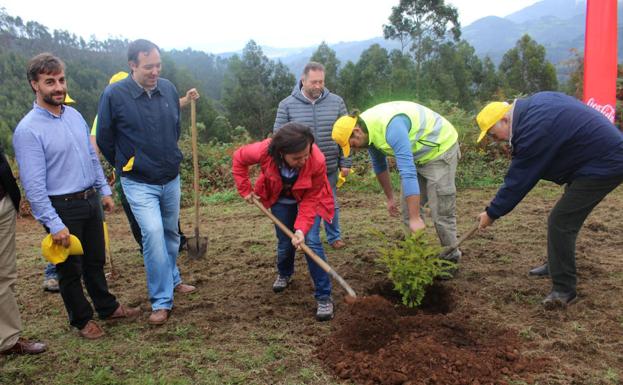 El Principado invierte más de diez millones de euros en la sostenibilidad de los montes